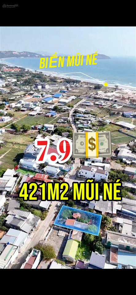 Nhà vườn nghỉ dưỡng  kết hợp homestay mũi né  421m2 7.9 tỷ