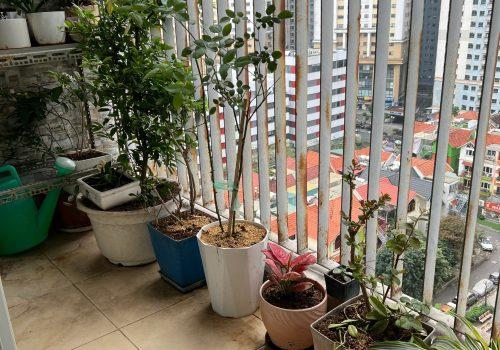 BÁN CĂN HỘ CHUNG CƯ THÔNG TẤN XÃ VIỆT NAM – ĐỊNH CÔNG, FULL NỘI THẤT CAO CẤP