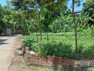 Đất trục chính kinh doanh  xây ở đều đẹp sát khu đấu giá & khu dịch vụ tân xã, hòa lạc 76m2 ful