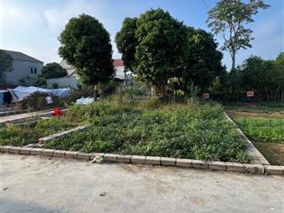 60,2m2 hạ bằng sát khu đấu giá tân xã giá tốt ở & đầu tư đều đẹp