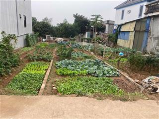 61m2 siêu phẩm lại thượng giá tốt trong khu đường thông ô tô