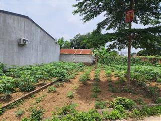 76,8m2 siêu phẩm trục chính sen trì vị trí đẹp giá dễ chốt gần ngay làn 2 tỉnh lộ 420