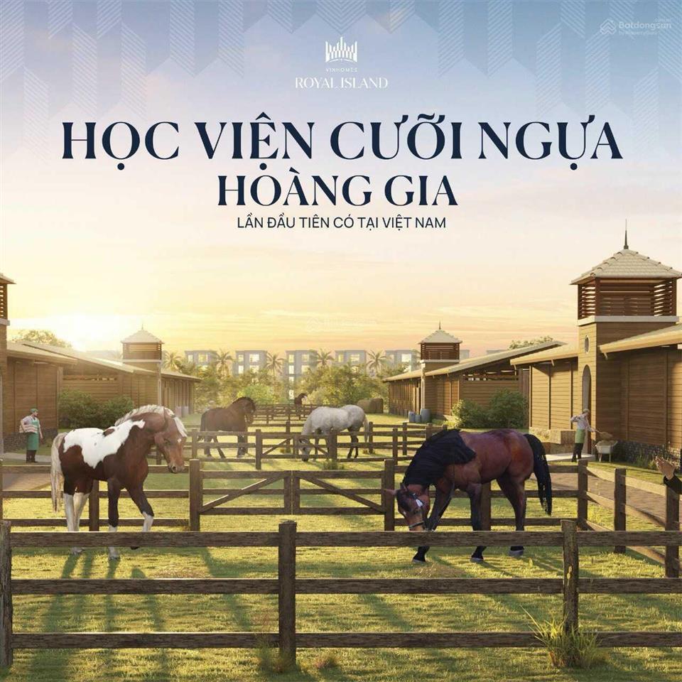 Siêu phẩm vinhomes vũ yên royal island biệt thự liền kề, song lập, đơn lập tại đảo vũ yên hải phòng
