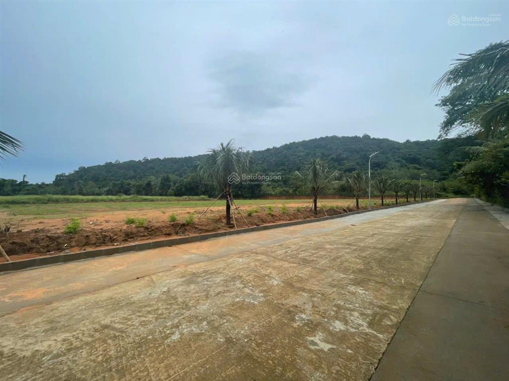 Bán đất 501m2 có 100m2 odt tại búng gội, cửa dương sổ đỏ riêng, gần đường lớn