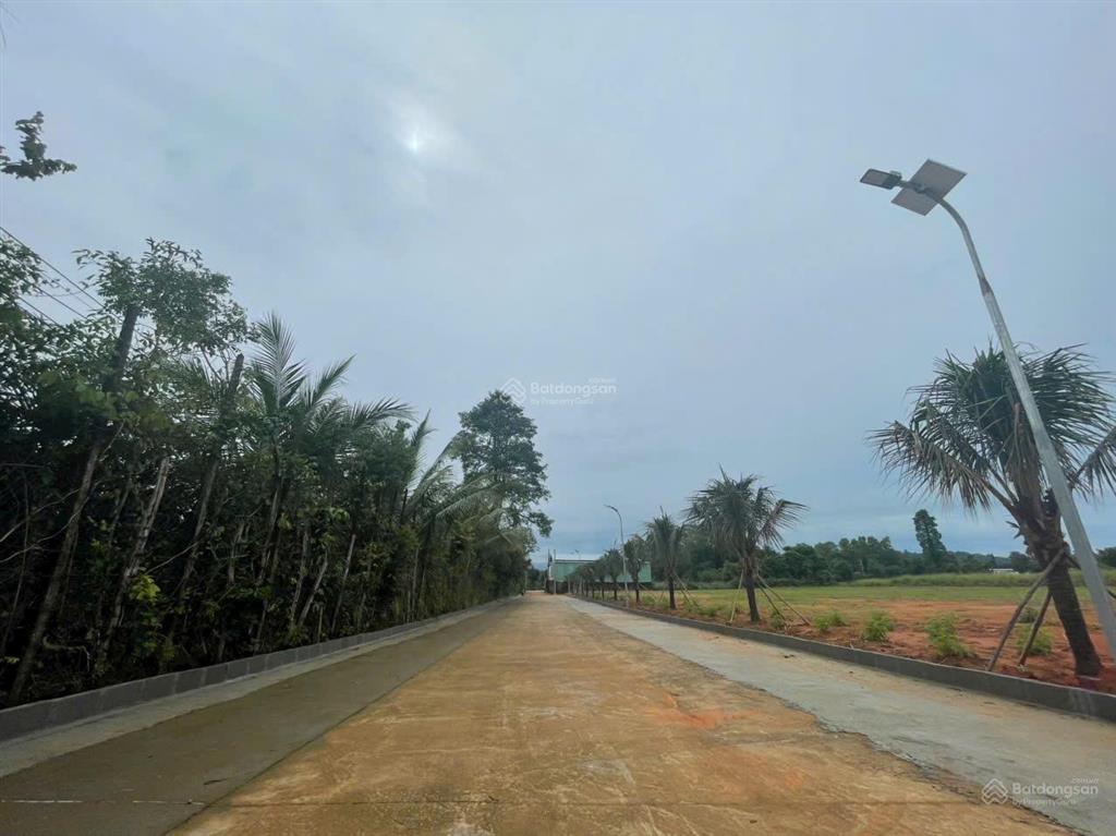 Bán đất 501m2 có 100m2 odt tại búng gội, cửa dương sổ đỏ riêng, gần đường lớn
