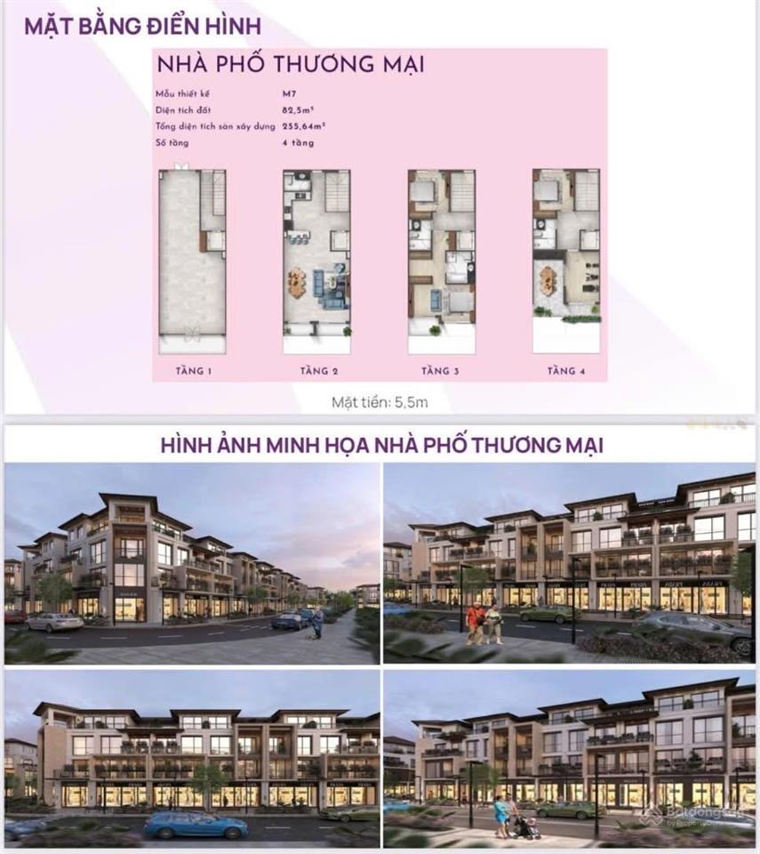 Căn sẻ khe suất ngoại giao hướng tây bắc view cầu rồng, trung tâm thương mại chỉ 5,8 tỷ
