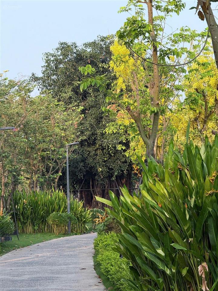 Bán gấp biệt thự song lập hàng hiếm  giá tốt chỉ 11,2 tỷ tại eco retreat bến lức long an