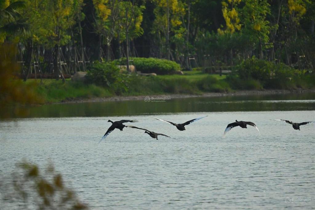 Bán gấp biệt thự song lập hàng hiếm  giá tốt chỉ 11,2 tỷ tại eco retreat bến lức long an
