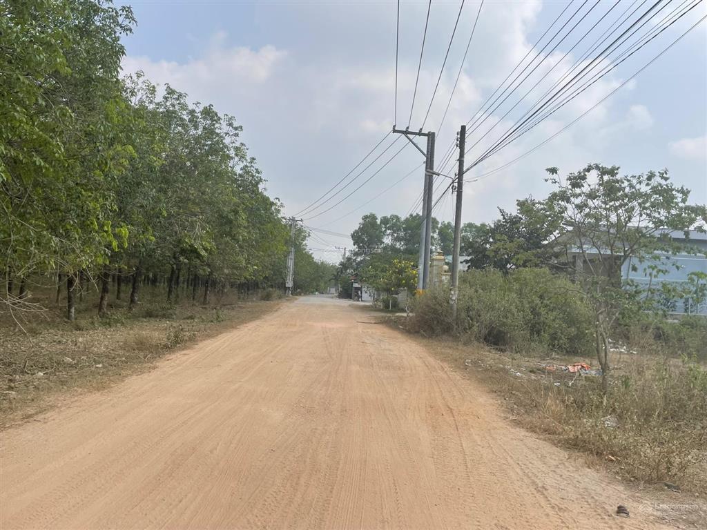 Chủ gửi bán 256m2 full thổ cư+ sổ riêng (đối diện bệnh viện quốc tế long thành)