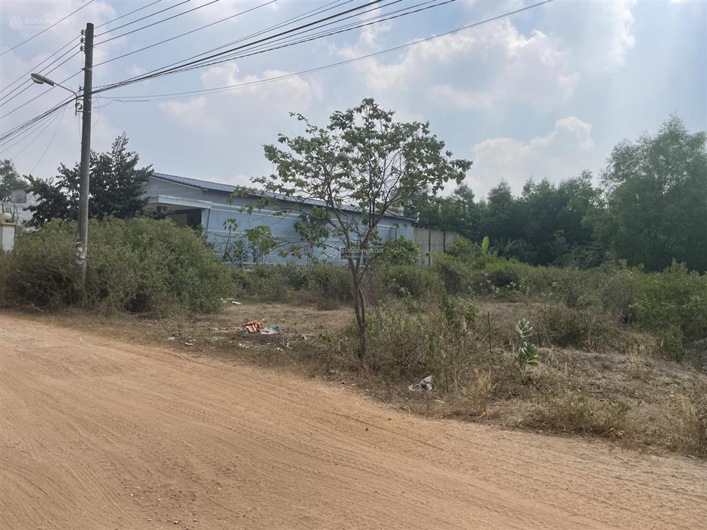 Chủ gửi bán 256m2 full thổ cư+ sổ riêng (đối diện bệnh viện quốc tế long thành)