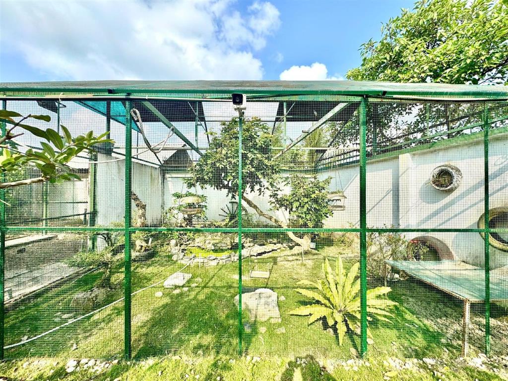 Bán nhà vườn biệt thự gần chợ bình chánh. biệt thự vườn dành cho đại gia lắm tiền