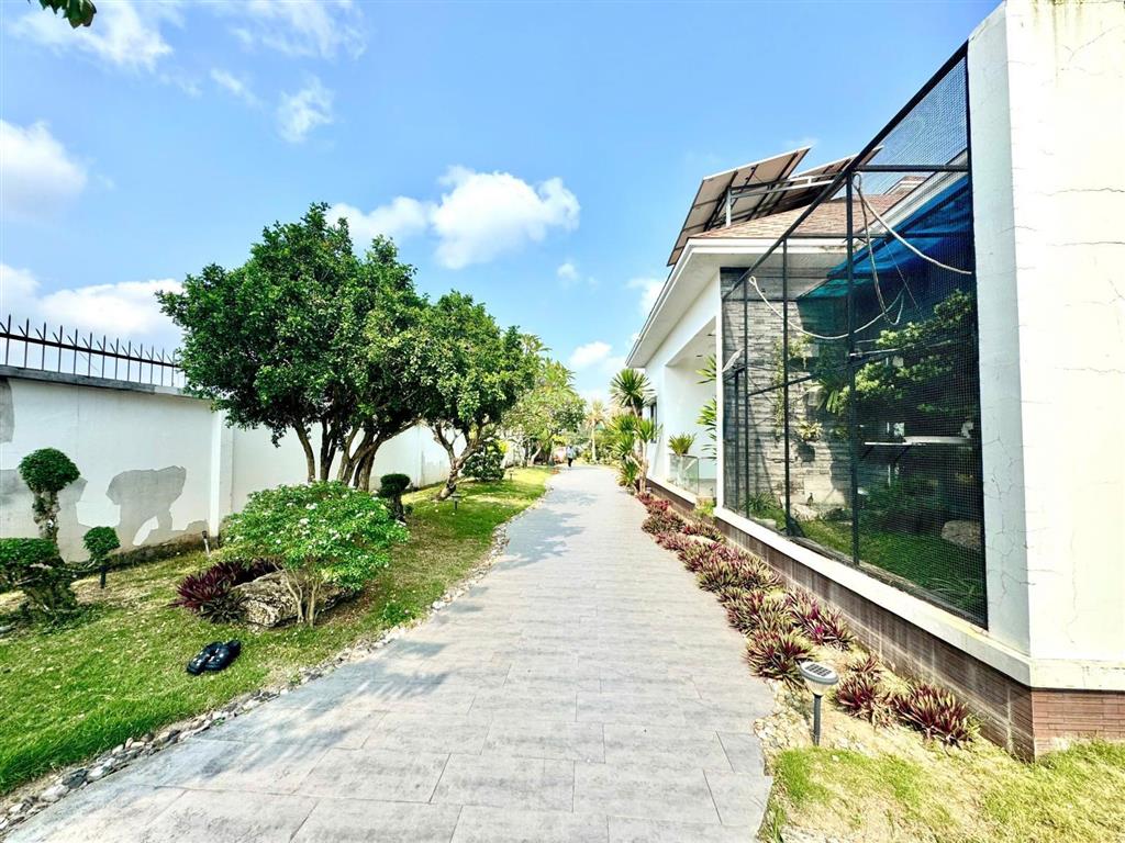 Bán nhà vườn biệt thự gần chợ bình chánh. biệt thự vườn dành cho đại gia lắm tiền