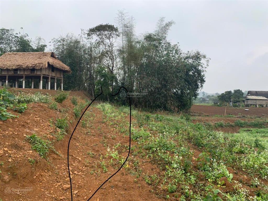 Chính chủ cần bán 1,4ha đất tại mỹ hòa  tân lạc, suối chạy quanh, sẵn 400m2 tc