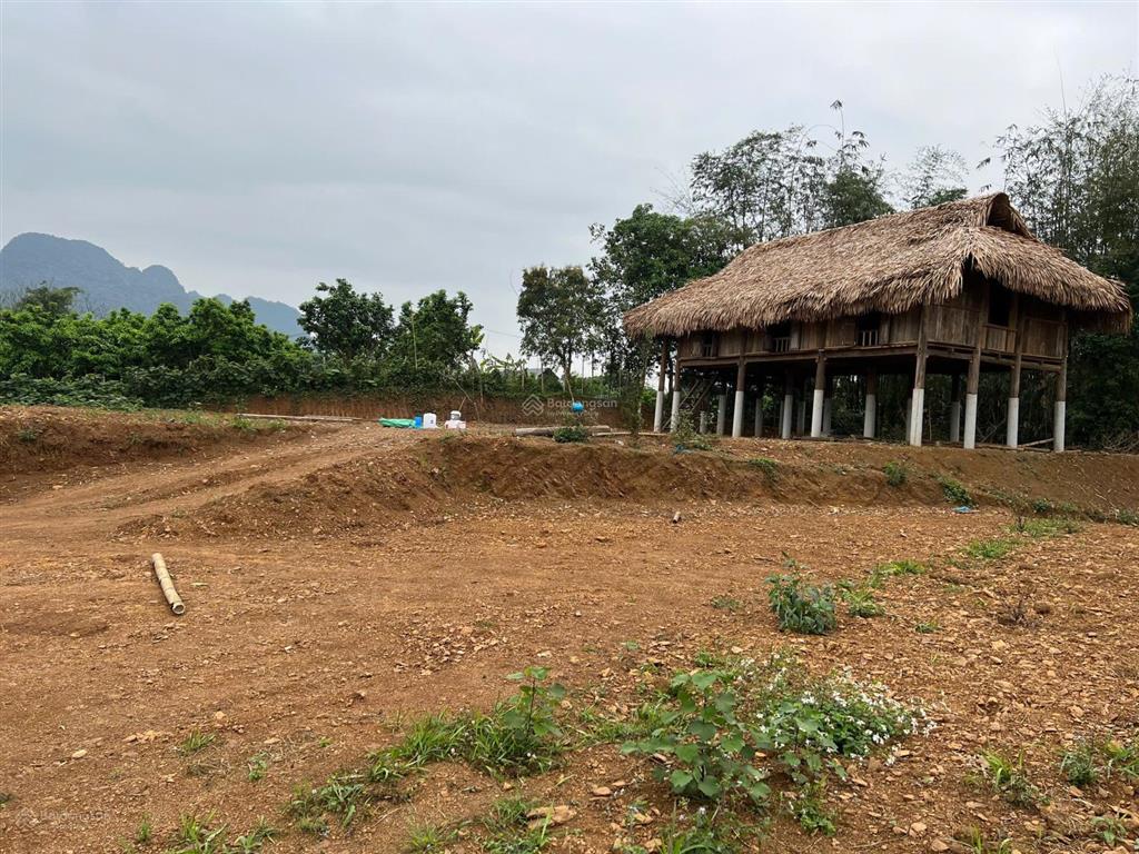 Chính chủ cần bán 1,4ha đất tại mỹ hòa  tân lạc, suối chạy quanh, sẵn 400m2 tc