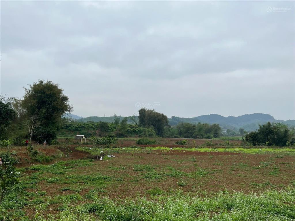 Chính chủ cần bán 1,4ha đất tại mỹ hòa  tân lạc, suối chạy quanh, sẵn 400m2 tc