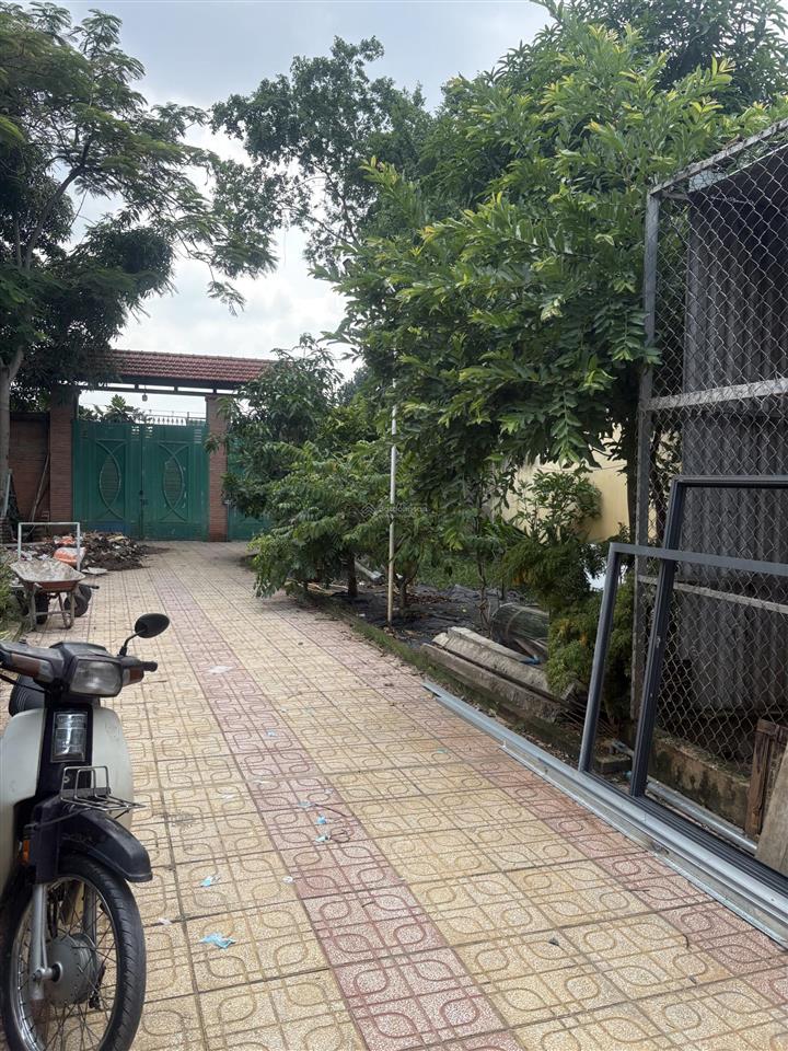 Cho thuê nguyên căn biệt thự tuyệt đẹp sát sông sài gòn, hồ bơi