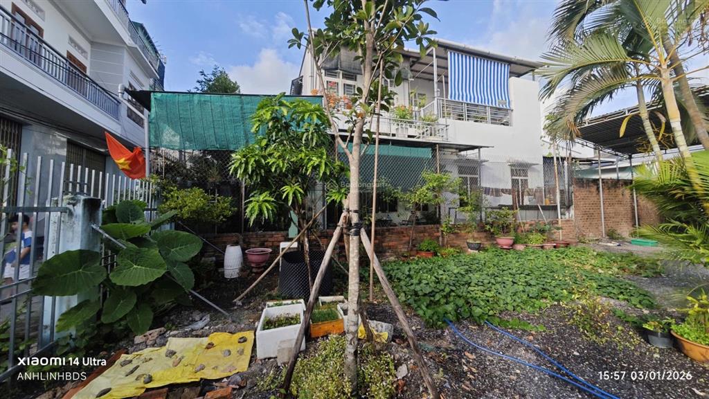 B32. bán đất đô thị diện tích hơn 300m tặng 2 nhà cấp 4 cũ trên đất  8 tỷ 045 triệu