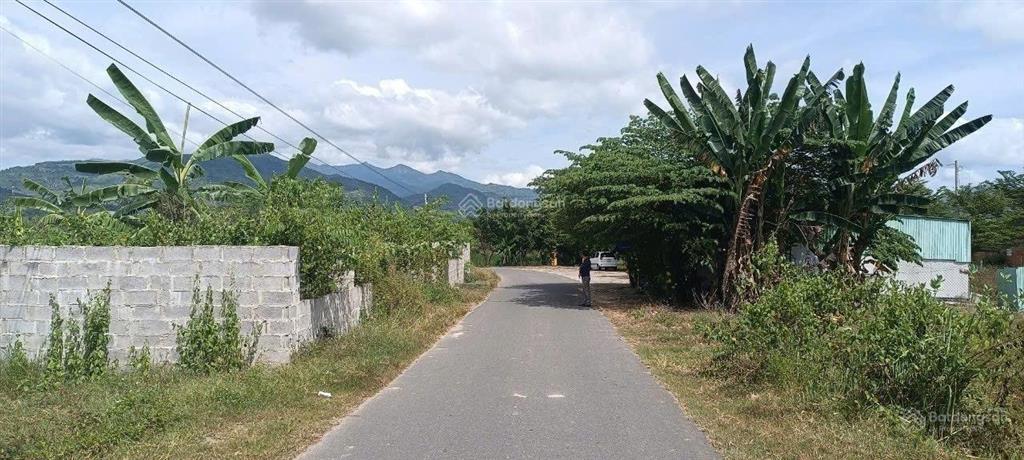 Diên phước, diên khánh 2,9 tỷ 1.600m  ngang 51m