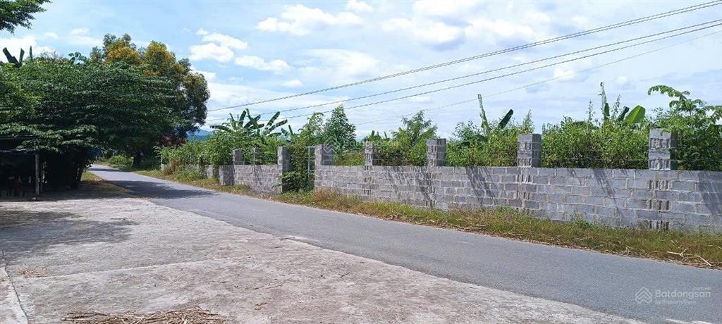 Diên phước, diên khánh 2,9 tỷ 1.600m  ngang 51m