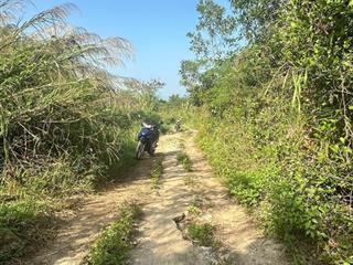 560 triệu 7.358m2 diên điền, diên khánh đất rẫy diện tích rộng