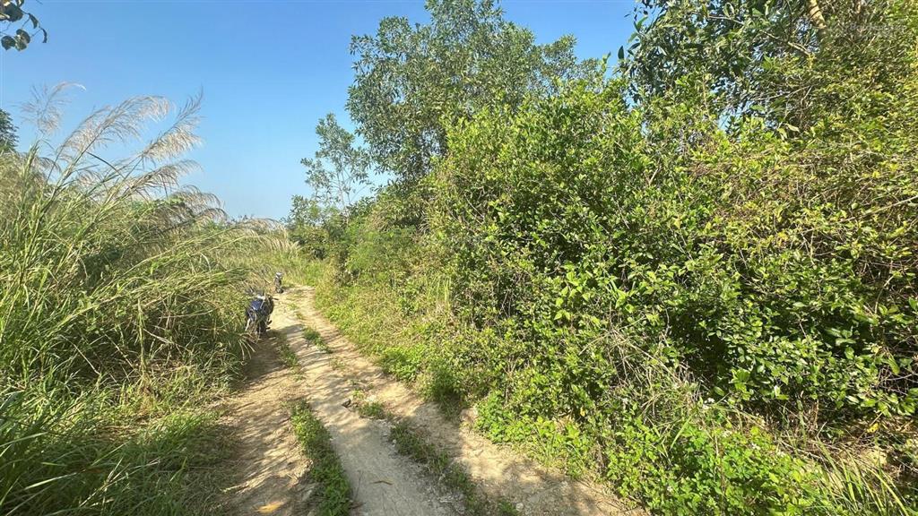 560 triệu 7.358m2 diên điền, diên khánh đất rẫy diện tích rộng