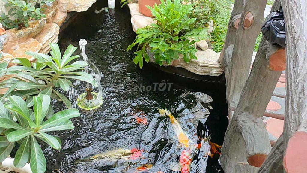 Bán nhà mái Thái cấp 4 đẹp sang
