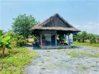 Đất vườn ngay vành đai 3 đường xe hơi tận nơi giá chỉ 1tr5/m2 tại xã vĩnh thanh nhơn trạch đồng nai