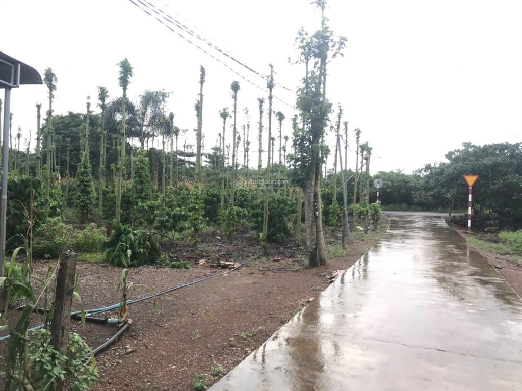 Dt 5500m2 cách đường dt 765 chỉ 500m cách sông sg 1 km, 50x90m tc 100m