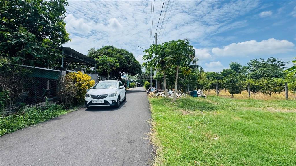 View lúa  ngay trung tâm hành chính xã đất đỏ  tphcm diện tích 10x32m  320m2  80m2 thổ cư
