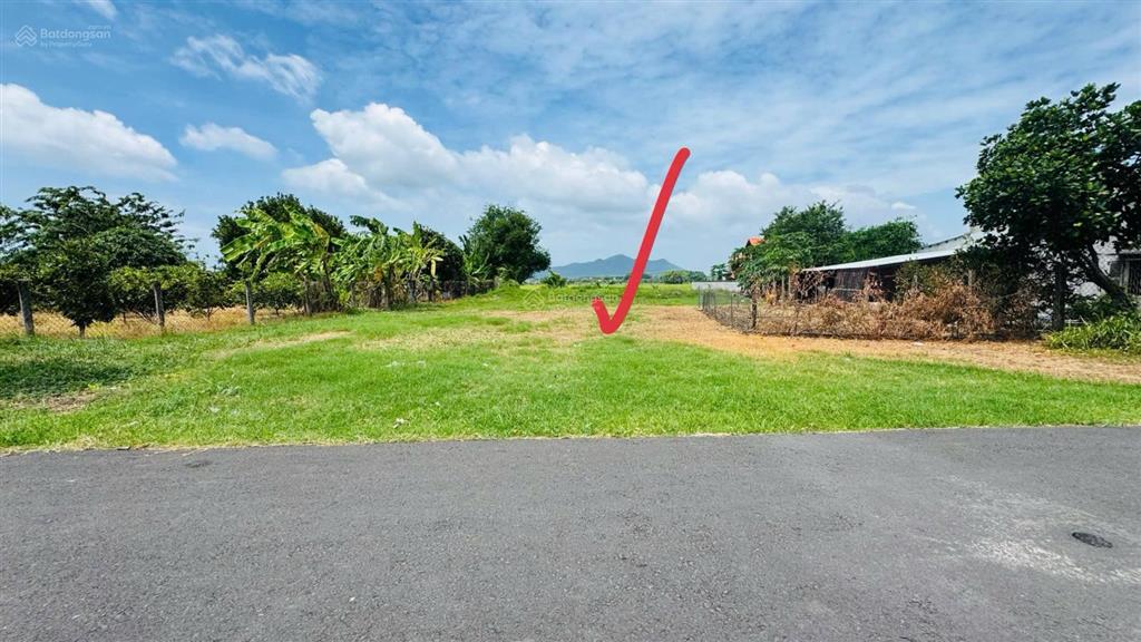 View lúa  ngay trung tâm hành chính xã đất đỏ  tphcm diện tích 10x32m  320m2  80m2 thổ cư