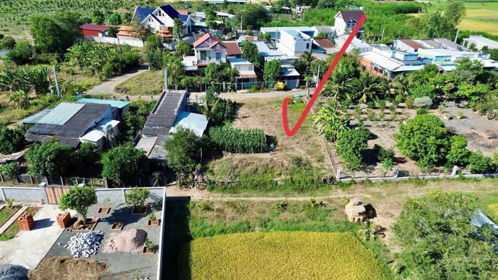 View lúa  ngay trung tâm hành chính xã đất đỏ  tphcm diện tích 10x32m  320m2  80m2 thổ cư