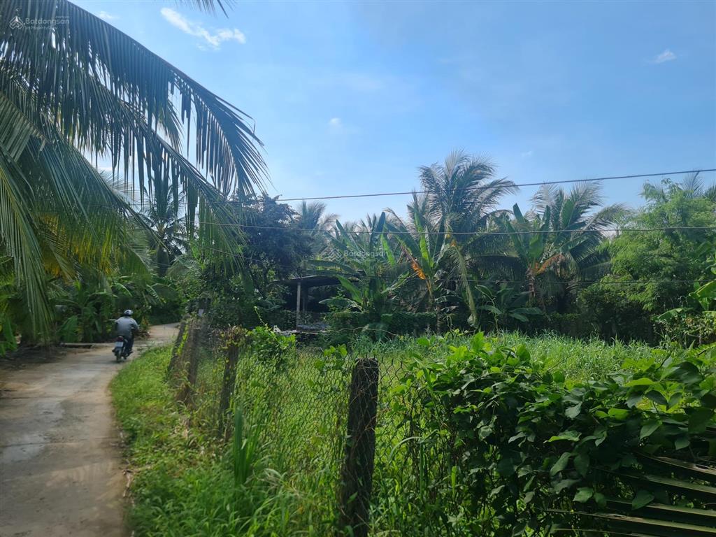 Bán đất gấp 296m2, 400 triệu tại đường kháng chiến, ấp 3, xã tam hiệp, huyện châu thành, tiền giang