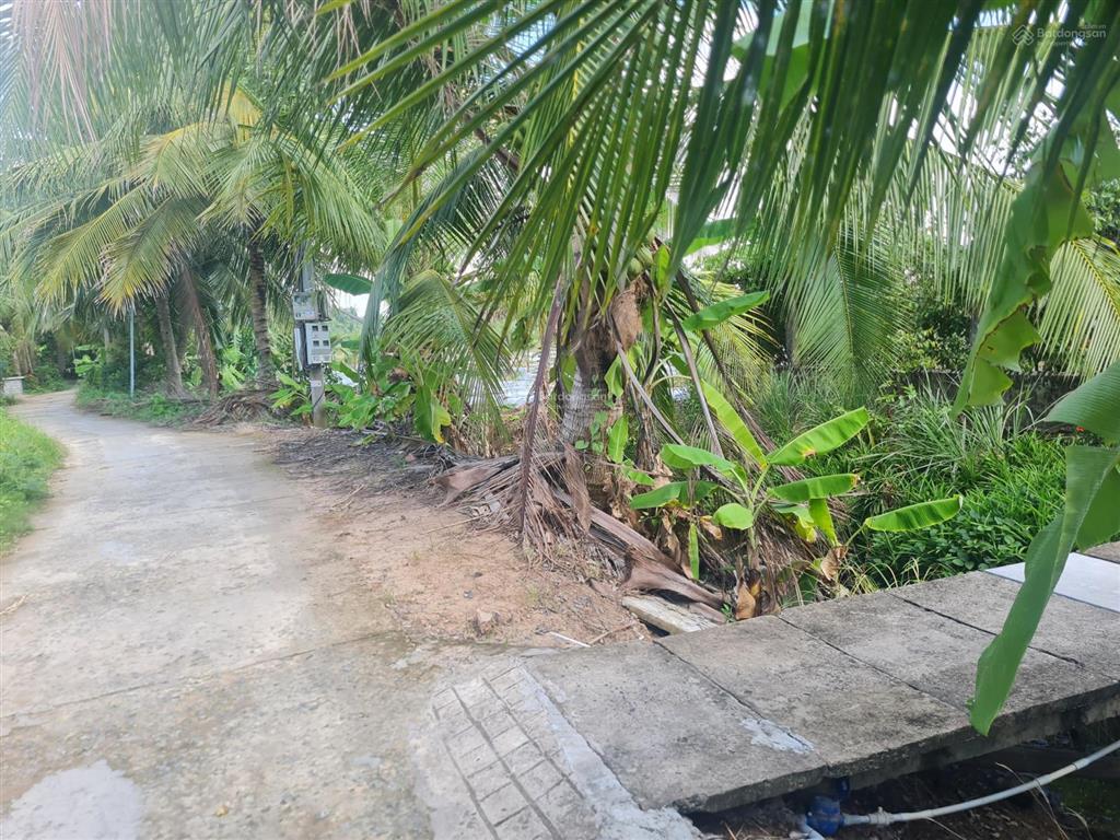 Bán đất gấp 296m2, 400 triệu tại đường kháng chiến, ấp 3, xã tam hiệp, huyện châu thành, tiền giang