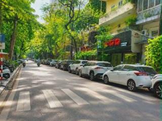 CHÍNH CHỦ CẦN BÁN GẤP NHÀ MẶT PHỐ QUÁN THÁNH PHỐ VIP BA ĐÌNH GIÁP RANH HOÀN KIẾM KD, VỈA HÈ Ô TÔ TRÁNH 110M X 2 TẦNG MT 