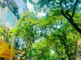 BÁN GẤP NHÀ ĐỘI CẤN TT BA ĐÌNH DÂN XÂY 50M X 4 TẦNG 9 TỶ 6