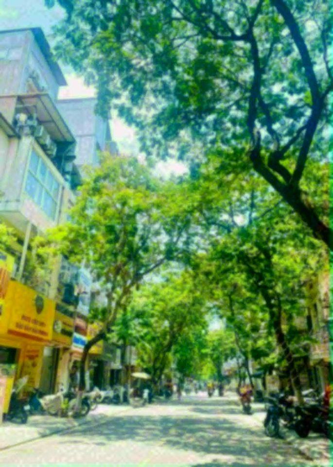 BÁN GẤP NHÀ ĐỘI CẤN TT BA ĐÌNH NÓI KHÔNG VỚI QUY HOẠCH 6,2 TỶ.