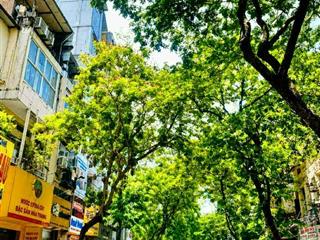 BÁN GẤP NHÀ ĐỘI CẤN TT BA DÒNG TIỀN 30 TRIỆU / THÁNG 73M X 4 TẦNG MT 7M NHỈNH 16 TỶ .