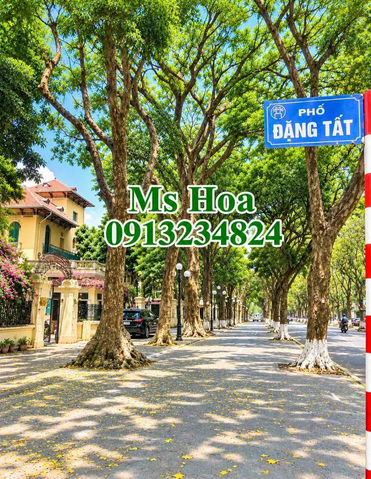 CHÍNH CHỦ CẦN BÁN GẤP NHÀ ĐẶNG TẤT PHỐ VIP BA ĐÌNH KD NHỎ Ô TÔ ĐỖ CỔNG 75M X 4 TẦNG MT4,5M 27,5 TỶ .