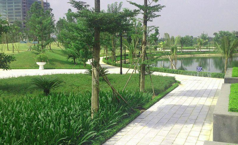Căn hộ nhà mình cho thuê trực tiếp nhà 3 ngủ có đồ vào ở luôn gọi mình sdt. 0942 713 ***