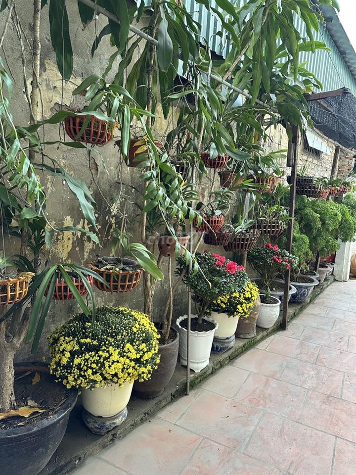 Nhà trọ Lê Trọng Tấn