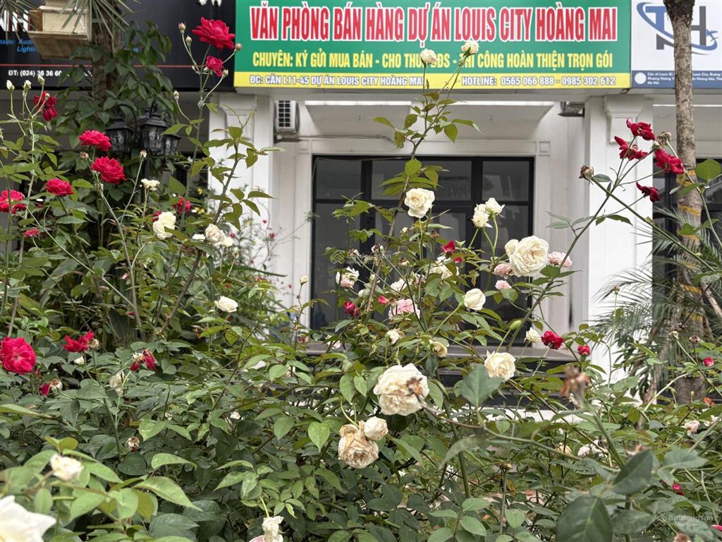 Căn l7 view biệt thự vị trí đẹp, sổ đỏ sẵn giao dịch khách thiện chí thương lượng