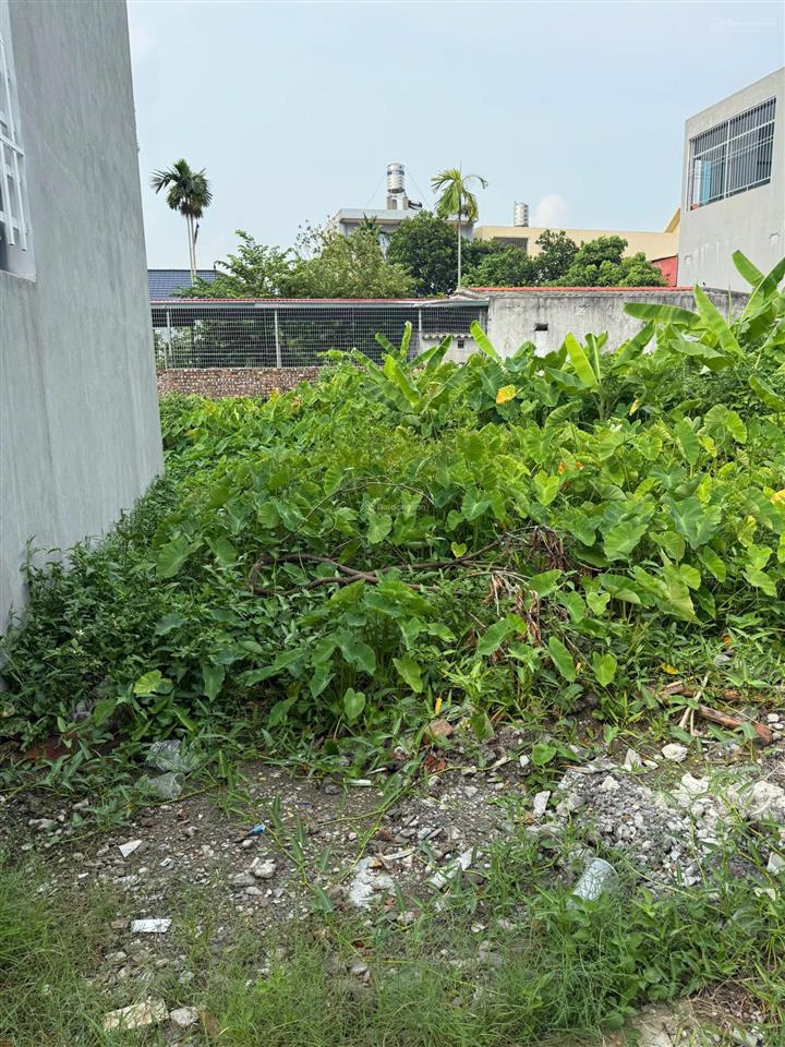 Bán lô đất tại trung tâm quận đồ sơn hải phòng