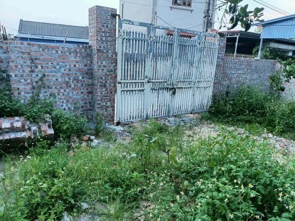 Chính chủ cho thuê đất 700m² gần Đền Sóc – Phù hợp kho bãi, nhà vườn