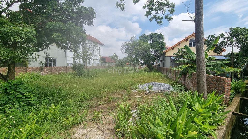 Chính chủ cho thuê đất 700m² gần Đền Sóc – Phù hợp kho bãi, nhà vườn
