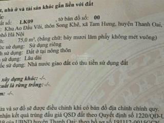 Bán đất đấu giá mặt kinh doanh song khê xã tam hưng huyện thanh oai