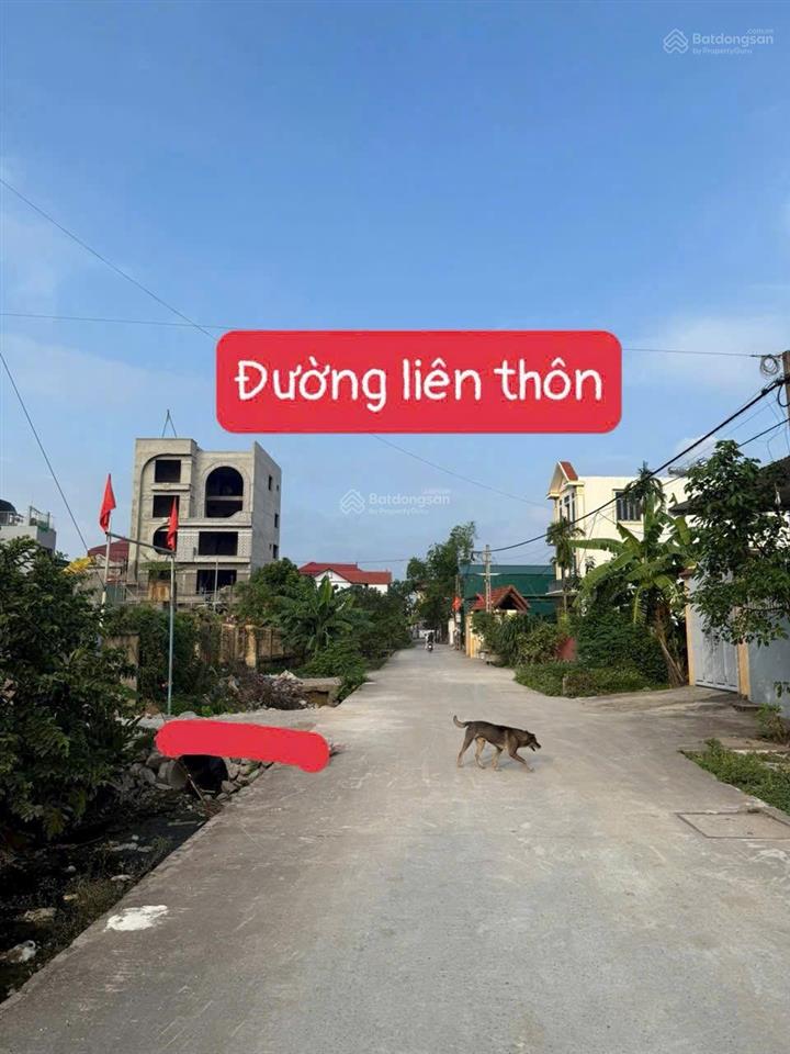 Bán đất bùi xá xã tam hưng huyện thanh oai