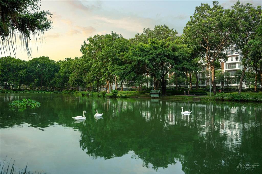 The glen  celadon  phù hợp với ai ?