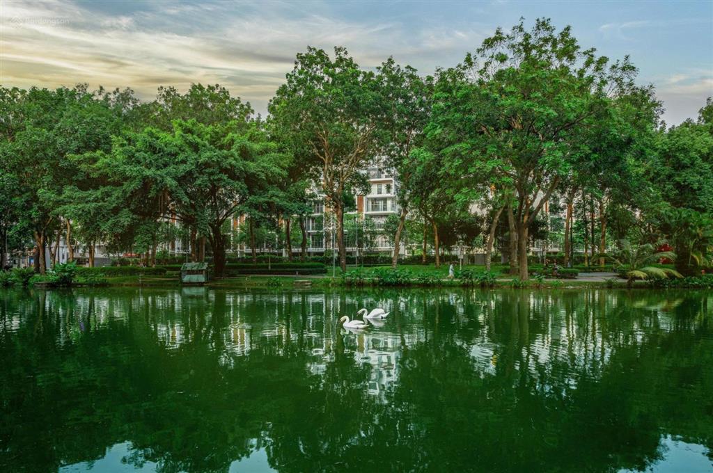 The glen  celadon  phù hợp với ai ?
