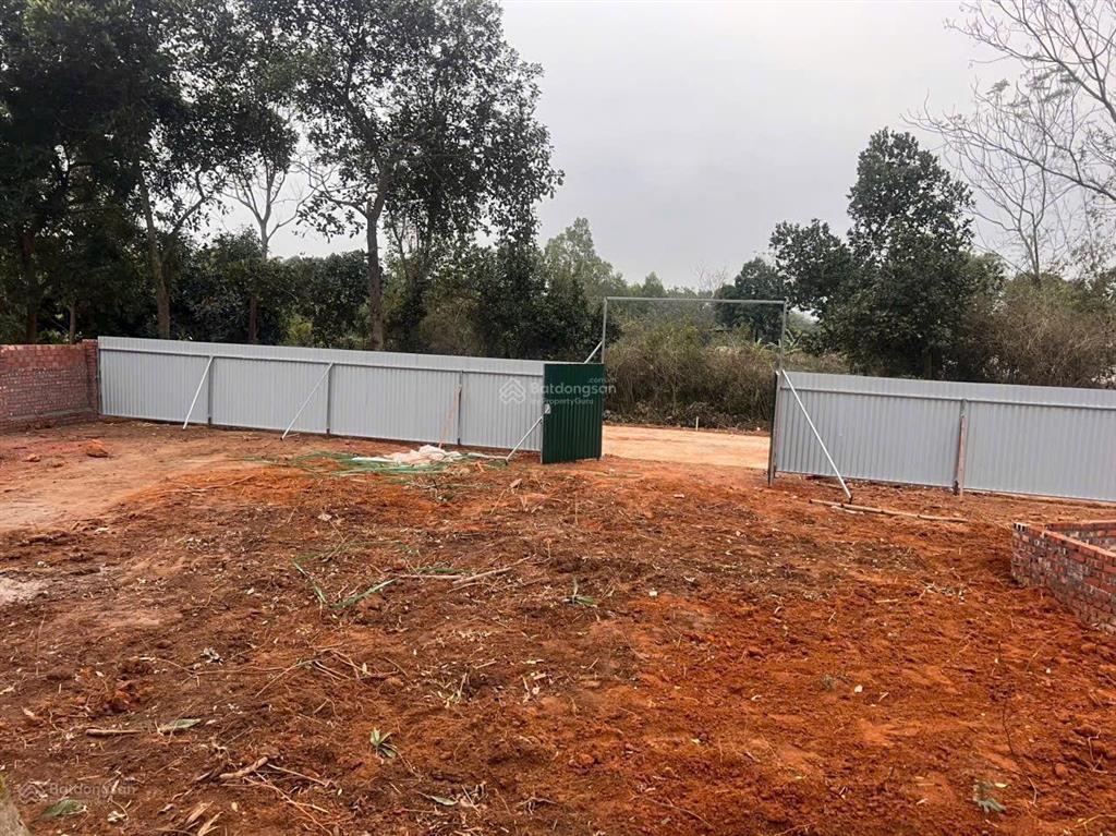 Cần tiền bán cắt lỗ  779m2 thổ cư tặng 216m2 lưu không  cán khê nguyên khê mt 21 ô tô tránh nhau