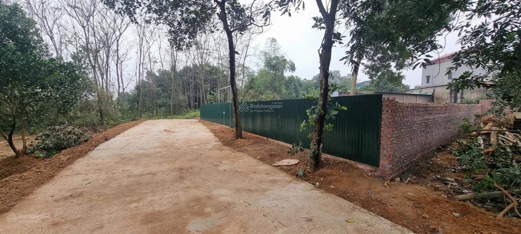 Cần tiền bán cắt lỗ  779m2 thổ cư tặng 216m2 lưu không  cán khê nguyên khê mt 21 ô tô tránh nhau